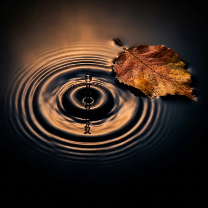 Perfect Stillness