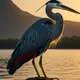 Bennu Bird Myth Meaning & Symbolism