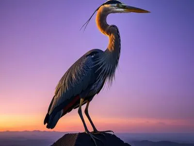 Benu Bird Myth Meaning & Symbolism