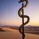 Brass Serpent Myth Meaning & Symbolism