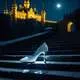 Cinderella's Glass Slipper Myth Meaning & Symbolism