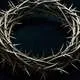 Crown of Thorns Myth Meaning & Symbolism