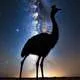 Emu in the Sky Myth Meaning & Symbolism