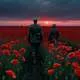 Flanders Fields Myth Meaning & Symbolism