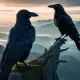 Hugin and Munin Myth Meaning & Symbolism