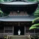 Izumo Grand Shrine Origin Myth Meaning & Symbolism