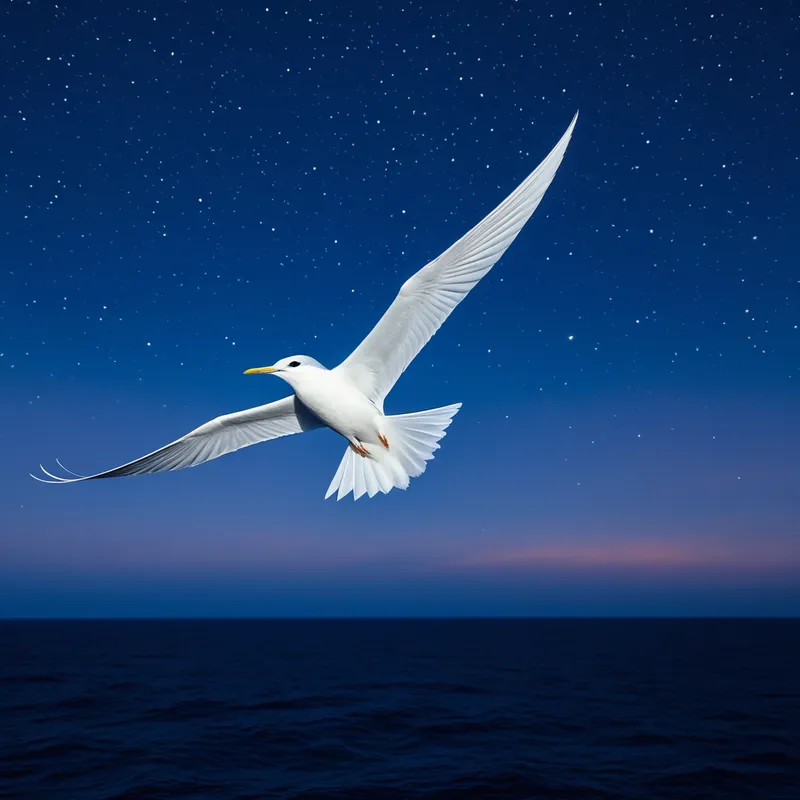 Manu-o-Kū Myth Meaning & Symbolism