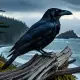 Raven Myth Meaning & Symbolism