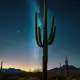 Saguaro Cactus Myth Meaning & Symbolism