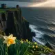 St. David's Daffodil Myth Meaning & Symbolism