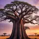 The Baobab Tree Creation Myth Meaning & Symbolism