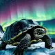 The Black Turtle Myth Meaning & Symbolism