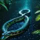 The Cosmic Anaconda of the Tukano Myth Meaning & Symbolism