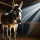 The Donkey of Bethlehem Myth Meaning & Symbolism