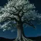 The Elder Tree / Hyldemoer Myth Meaning & Symbolism