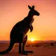 The First Kangaroo Myth Meaning & Symbolism