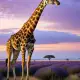 The Giraffe Myth Meaning & Symbolism
