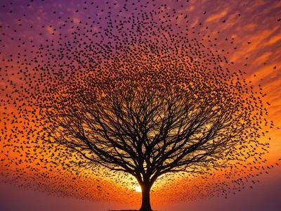 The murmuration of starlings—a Myth Meaning & Symbolism