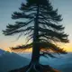 The Origin of the Larch Tree Myth Meaning & Symbolism