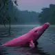 The Pink River Dolphin Encanto Myth Meaning & Symbolism