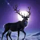 The Reindeer and the Sun Myth Meaning & Symbolism