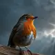 The Robin's Breast Myth Meaning & Symbolism