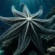 The Starfish in Creation Myths Myth Meaning & Symbolism
