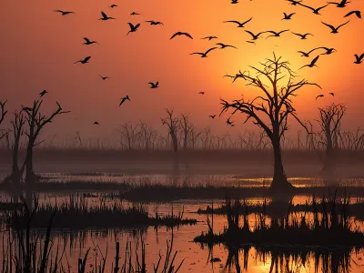 The Stymphalian Marshes Myth Meaning & Symbolism