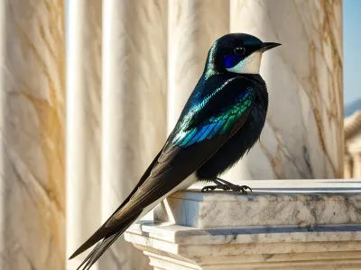 The Swallow Myth Meaning & Symbolism