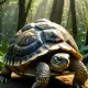 The Tortoise Trickster West African Myth Meaning & Symbolism