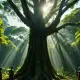 The Tree People Myth Meaning & Symbolism