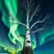 The World Tree Siberian Myth Meaning & Symbolism
