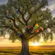 Tie Flags at Wishing Trees Myth Meaning & Symbolism