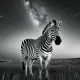 Zebra Myth Meaning & Symbolism