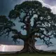 Zeus's Oak Myth Meaning & Symbolism
