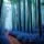 Bamboo Forest