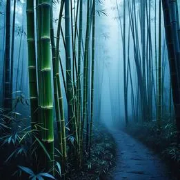 Bamboo Shoot