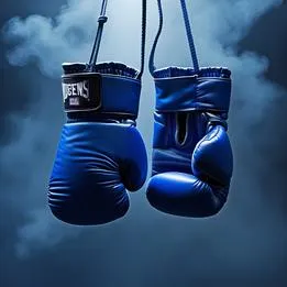 Boxing Gloves