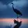 Crane Shadow