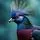 Crowned Pigeon