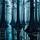 Cypress Swamp