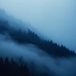 Dense Fog