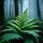 Dewy Fern