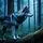 Dramatic Wolf