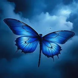 Fairy Wings