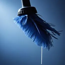 Feather Duster