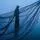 Fishing Net