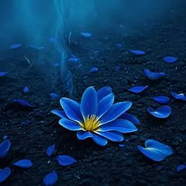 Flower Petal