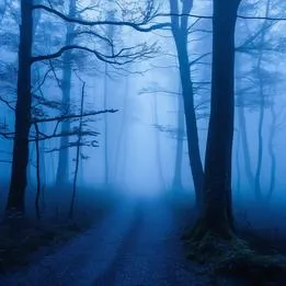 Fog Rolling In