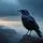 Foreboding Corvid